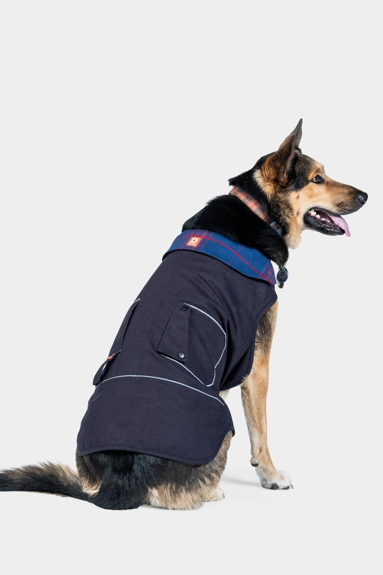 Dog catalogs top
