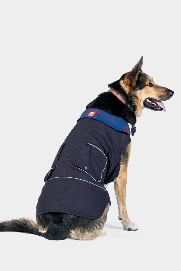 Copy of Shop Dog Jacket - Fall 2023 Accessories Dovetail Workwear