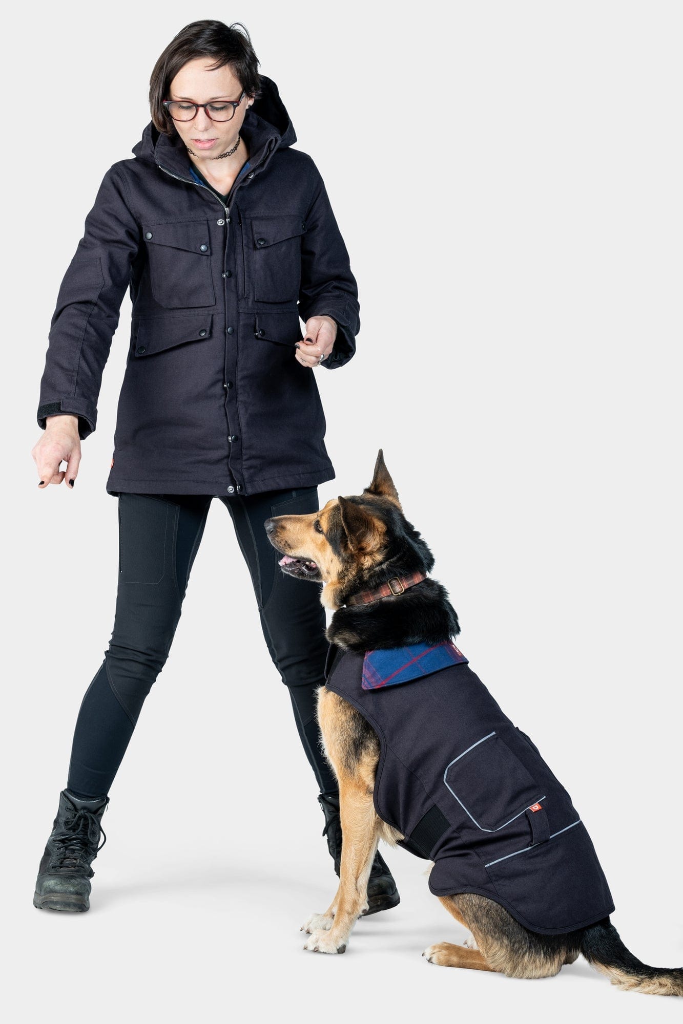 Dog field jacket hot sale